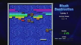 Block Destruction (1/14/2011)