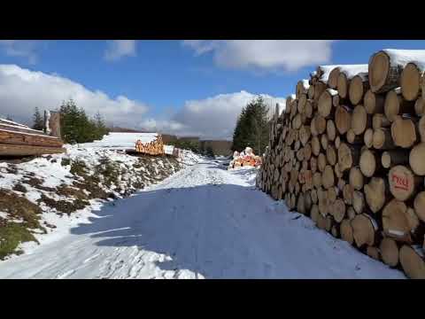 Winterwanderung im Harz rund um Hohegeiß mit 4 Stempelstellen der Harzer Wandernadel