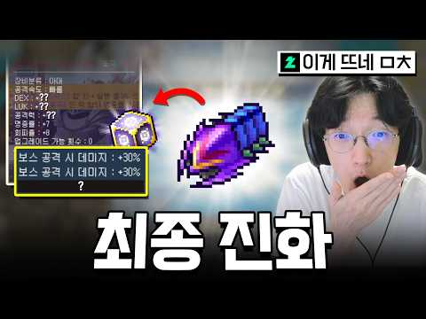 옛날 메이플 플래닛 람피온 최종 진화했습니다.... 레전드 옵션 떴냐!!! [메이플 플래닛]