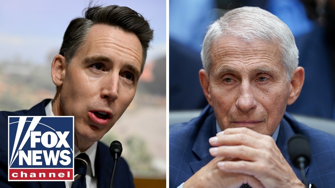'YOU GOT RICH!': Hawley EXPLODES while Fauci sits in silence