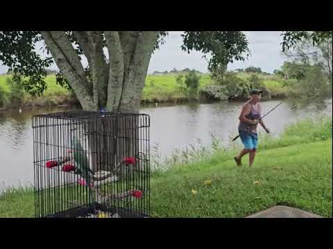 Video Kinchela Windemere Hipcamp