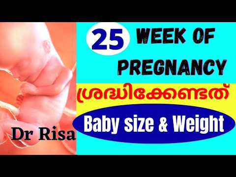 Pregnancy Week By Week Malayalam | 25 Weeks Pregnant
