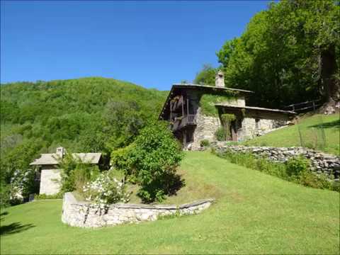 RUSTICI VENDITA PAMPARATO