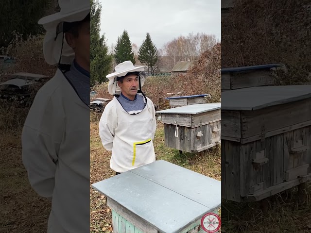 Мамадыш районының Албай авылына сәяхәт