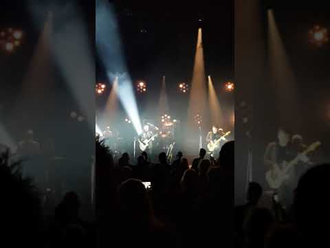 Waylon in steenwijk 1