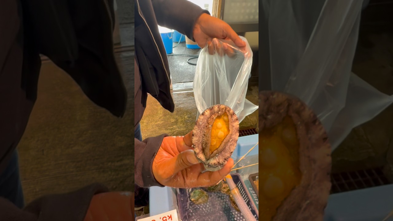 เป๋าฮื้อ ซาชิมิ