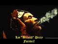 Lee "Scratch" Perry  -   Love Dub.
