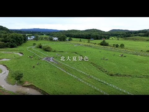 北大夏景色【北海道大学公式PV】