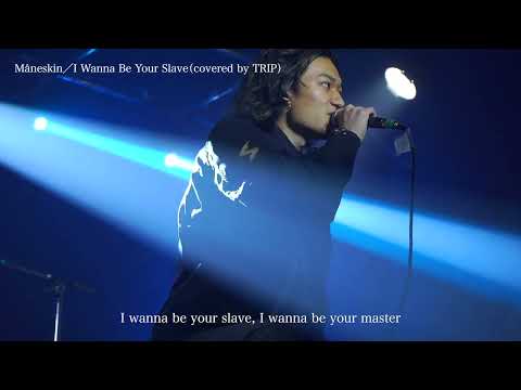 MÅNESKIN/I Wanna Be Your Slave（covered by trip）