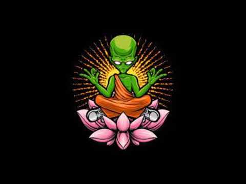 Mechanimal - Lowrider (Endeavour Remix)