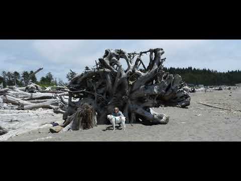 Washington State - Rialto Beach-La Push-Port Townsend