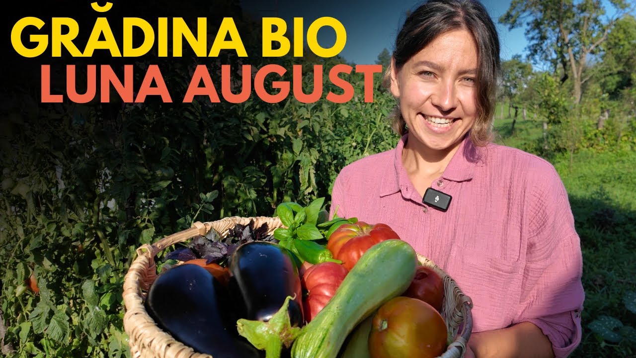 👩🏼‍🌾 Turul GRADINII FARA SAPA in luna AUGUST | Gradinarit fara experienta