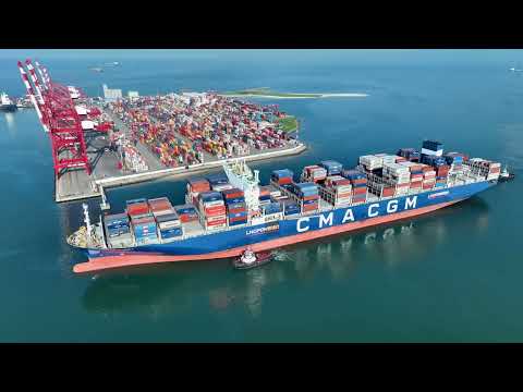 MSC Port de Pointe Noire