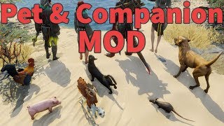Pet - Companion Mod