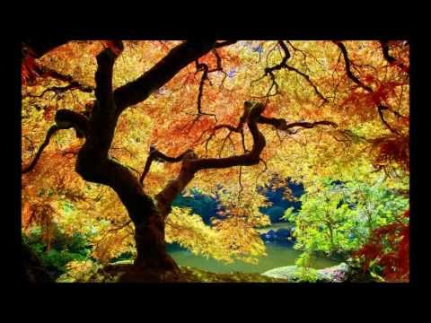 Jetlag Prod. - Technicolor