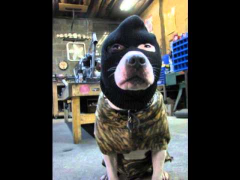 Grindline Runnin outa places