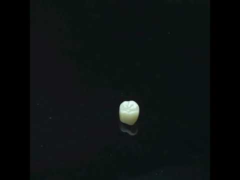 YouTube 썸네일