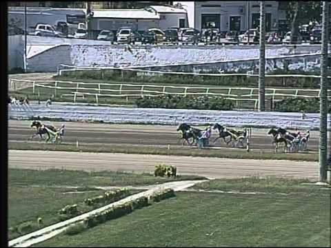 Trotto 31/05/2015 - 4° corsa