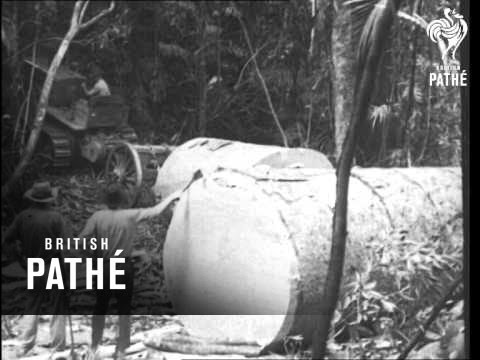 Timber Issue Title -  Saw, Song And Sally (1937)