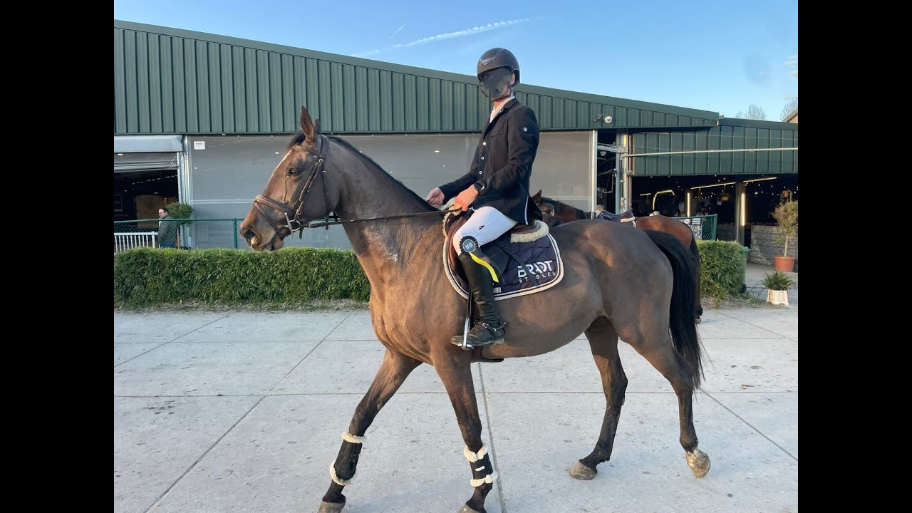 Hivolet Van Beek ☆ (COCONUT GROVE XX  x INDOCTRO) video 4