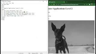 HTML Demo: Code a Webpage