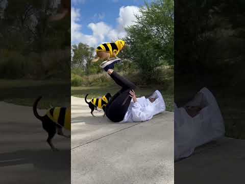 Halloween costume idea for you and your dog! A bumble bee and the bee keeper🐝 #dogcostume