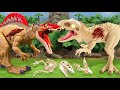 T Rex Wild Chase Adventure 🦖 | SPINOSAURUS vs TYRANNOSAURUS in Showdown ⚔️ - Dinosaur Toys Movie 4K