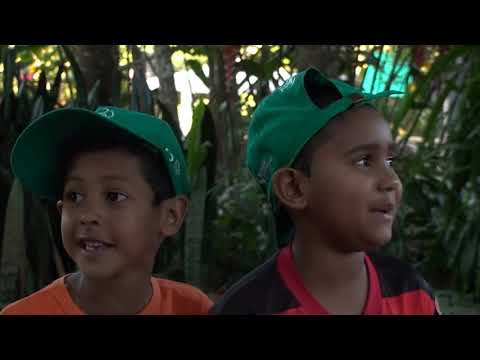 Semeando o Bioma Cerrado na Escola Zeca de Farias – educação ambiental