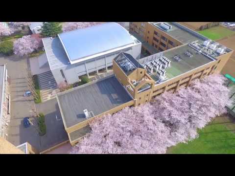 桜のキャンパス空中花見