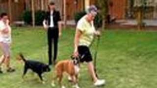 Top 10 Difficult Cases: Cooper