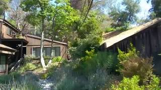 How to Make Your Garden a Complete Self Expression