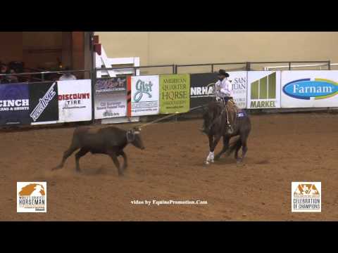 SDP Blue Blood ridden by Matt Koch - 2015 NRCHA Celebration of Champions (FINALS, Steer - WGH)