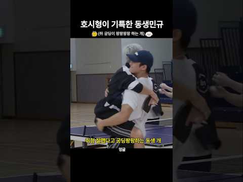 [세븐틴/순앤뀨] 호시 옹동이팡팡팡 하는 민규