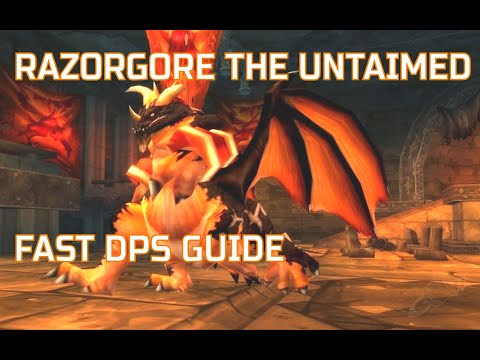 Razorgore the Untamed DPS guide in 3min //FEB 2020//