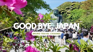 Good bye Japan! Kamakura, shopping and more!