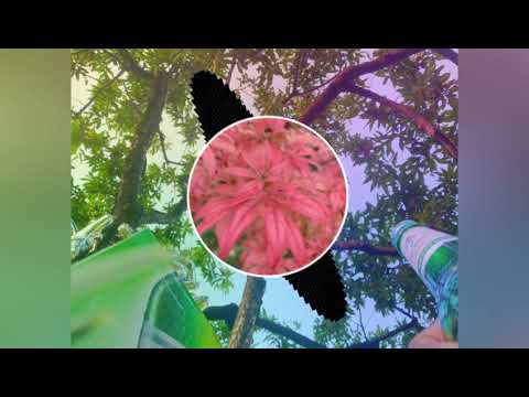 Teni_-_Marry_(Lexar_Beatdown_Remix)_(Electronic_Afro)