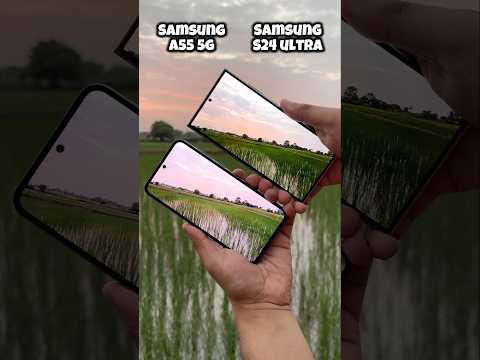 Samsung A55 5g vs Samsung S24 Ultra Camera Test #samsung #samsunga55 #s24ultra #shorts