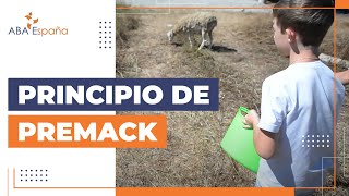 Secuencia verificada de ABA España – Principio de Premack