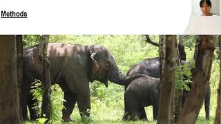 Rise & Fall of Cooperation in Asian Elephants