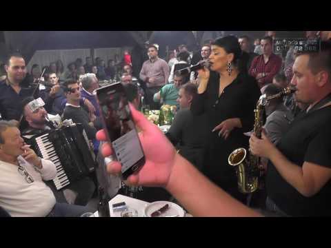 Borko Radivojevic, Mirko Kodic (Zivkica,Jelena ) - Moravac se veseli - Muzicka zabava 2016 Cacak