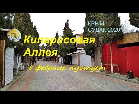 Кипарисовая Аллея и немножко грустно. Крым, Судак 07 февраля 2020