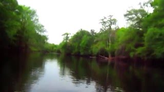 preview picture of video 'SantaFe River Florida'