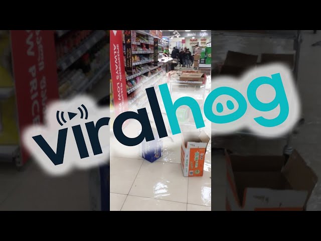 Fish Swimming on Supermarket Floor || ViralHog