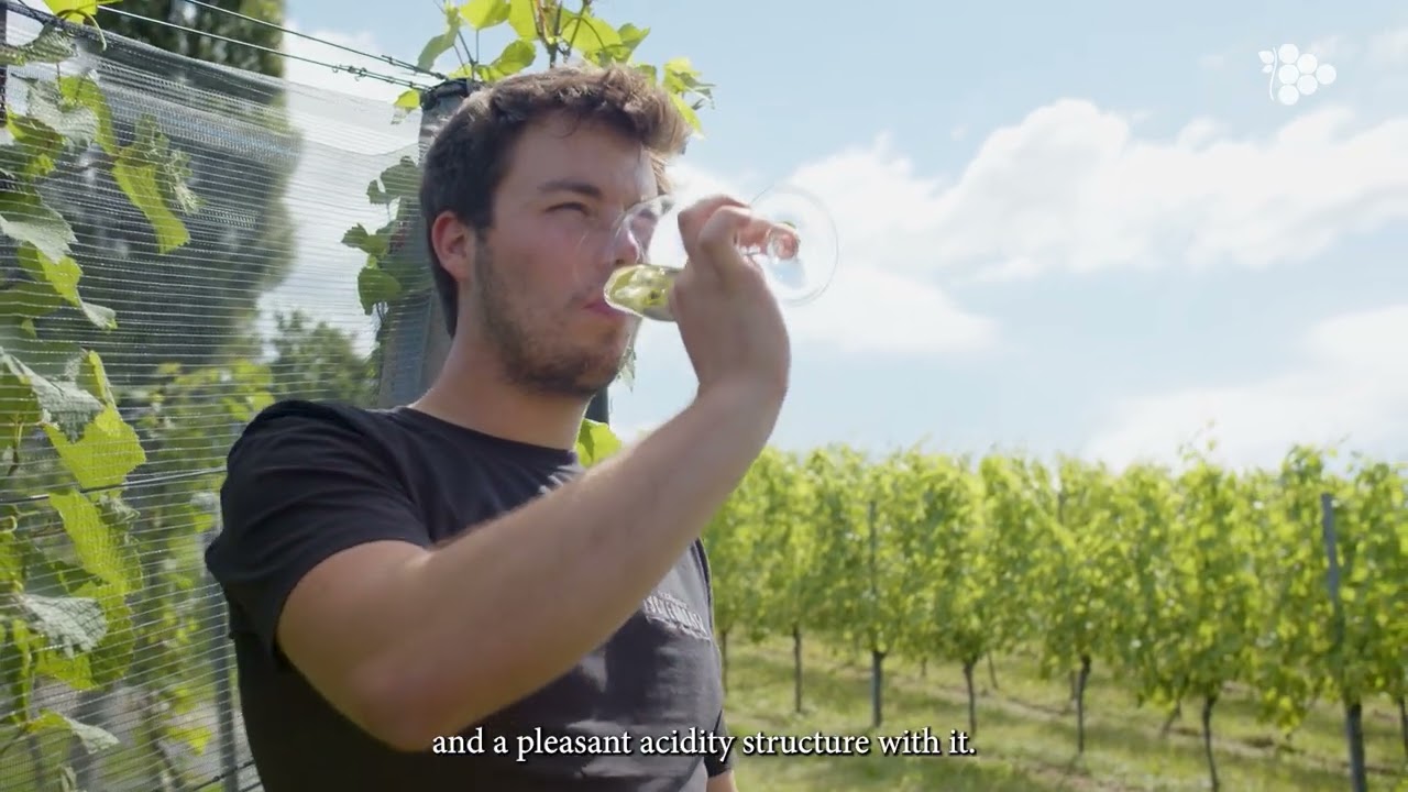 Weingut Tschermonegg GmbH