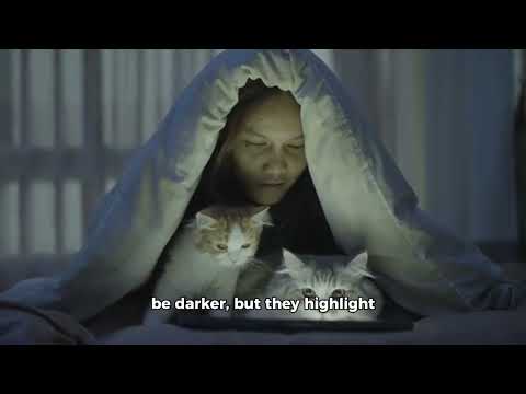 Brief History of Cats