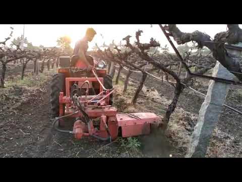 Grapes cultivation machinery