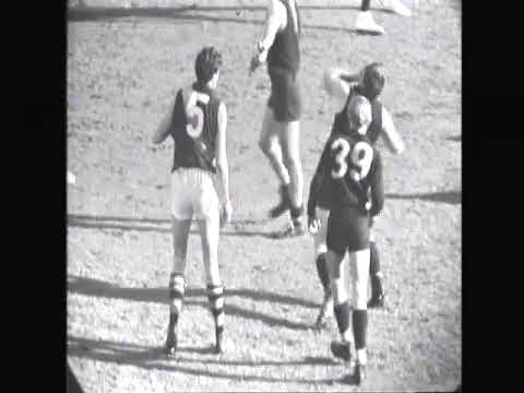 Richmond’s Neville Crow “knocks out” Carlton’s John Nicholls