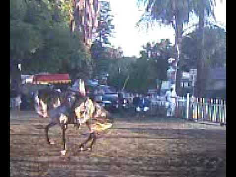 la buggi bailando al amoroso