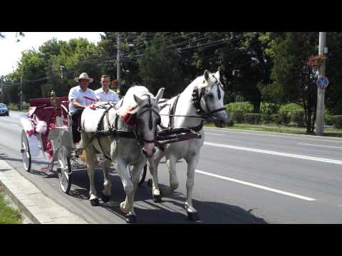 caleasca de rezervat