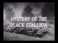 Frontier Doctor - Mystery Of The Black Stallion - Rex Allen